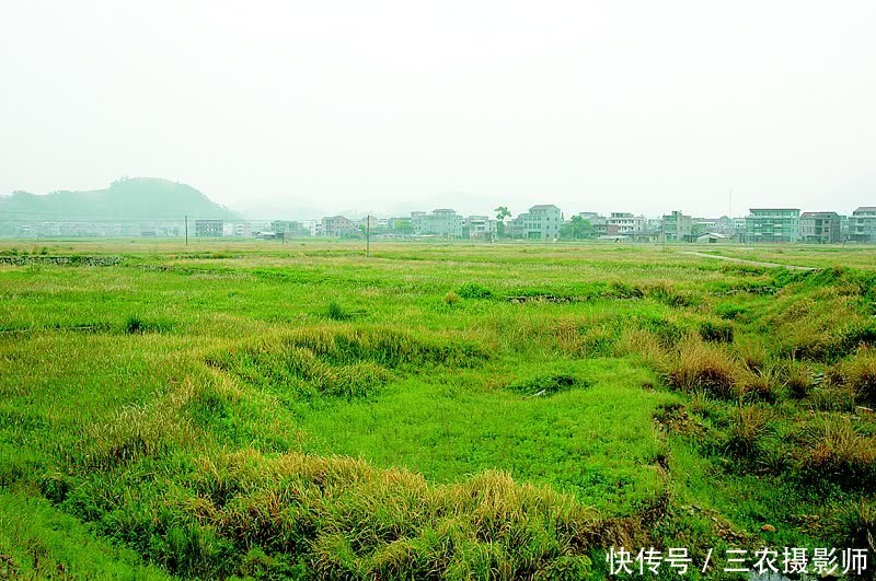 农村土地丢荒，以下四大原因，说明为何农民不愿意种地