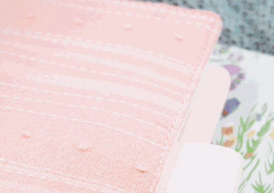 迅速提升幸福感的12个国产文具品牌,颜值和功能不分上下!