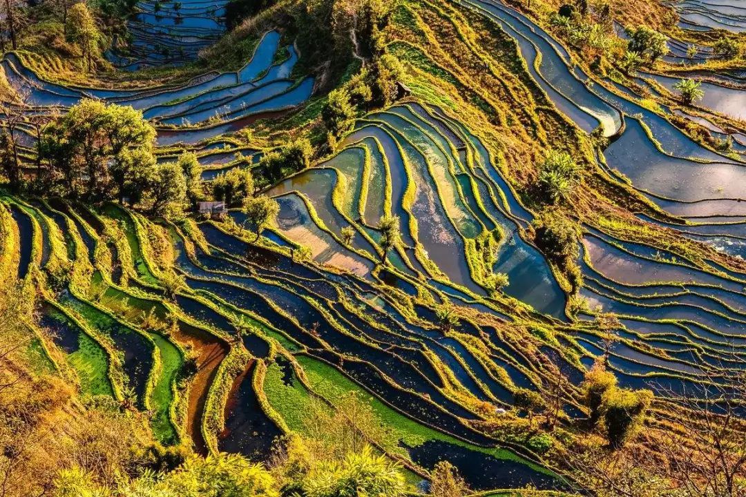 3月云南，这里最值得去！