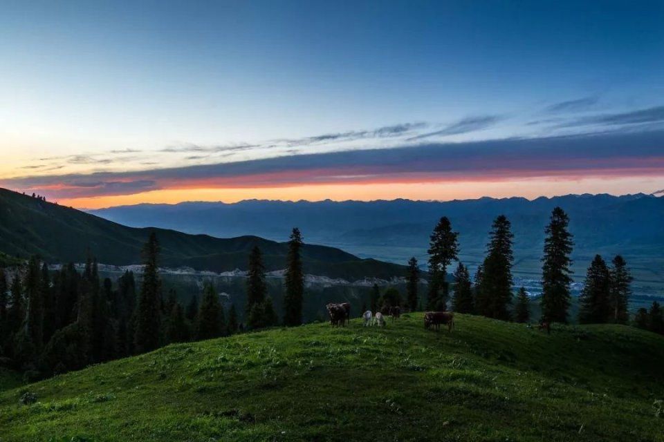 那拉提大草原:仿佛人间伊甸