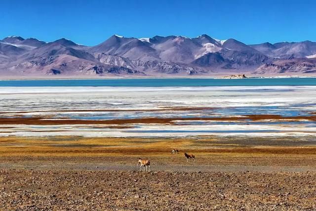 中国唯一高速全年不收费的省,景点门票全免费,不来一趟太亏!