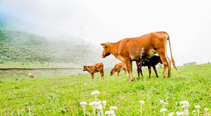 重庆超41度热爆，贵州这座城市26度已是高温，空调都卖不出去!