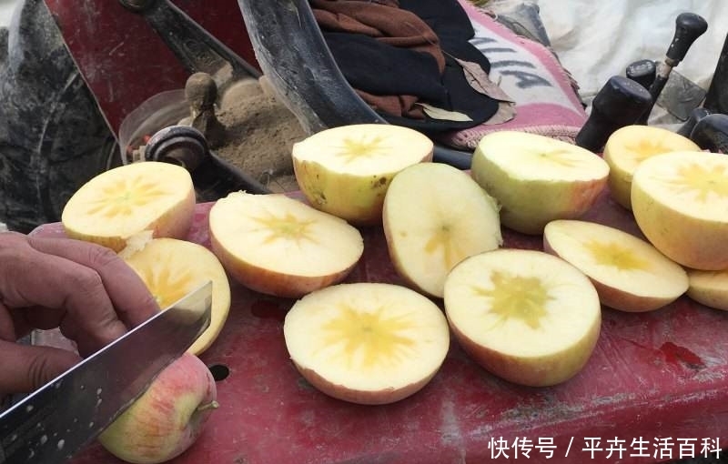  冰糖心苹果|年产量不足10万吨，却“卖”出几百万吨，一斤8元，