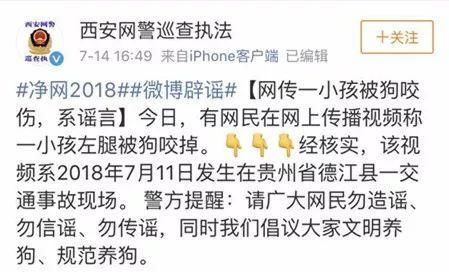 有组织造谣狗咬伤小孩儿，这个锅决不能背!
