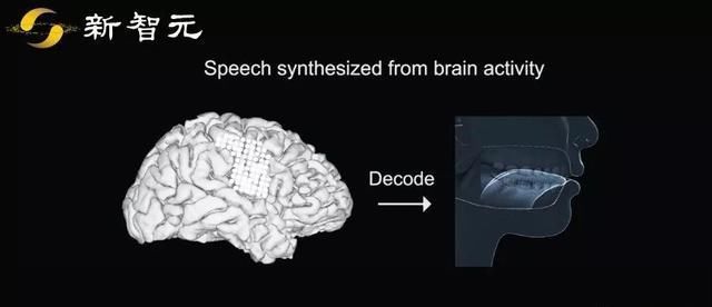 Nature重磅：华裔科学家成功解码脑电波，AI直接从大脑中合成语音