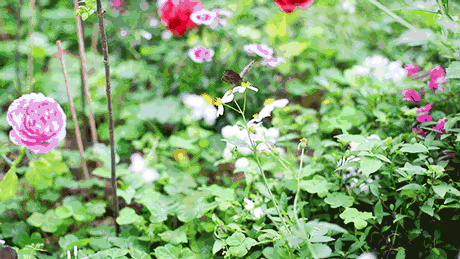 走进一座山，不小心发现山中藏着这样一座神仙寺庙!