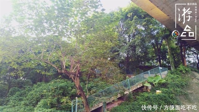 只知道重庆南山“一棵树”？其实，这里还有“壹碗水”