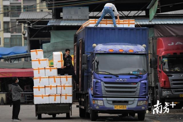  批发市场|江门“菜篮子”供应如何？批发市场走一趟