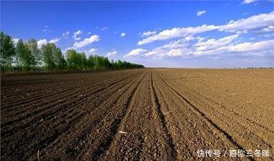  【补贴】粮食补贴新变化，这3类村民将会失去领粮补资格，希望你