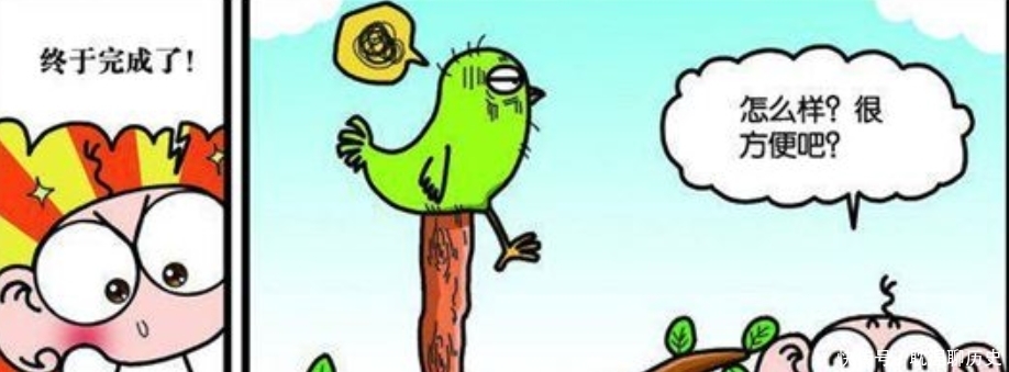  精致|呆头农场：小呆呆为鸟儿制作精致“木假腿”！这就是所谓的金鸡独立吗？