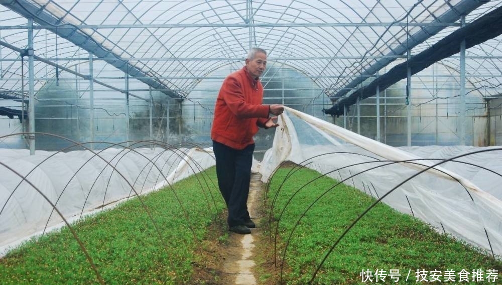  大棚■盖大棚穷三年，农民抱怨不赚钱，以色列的温室大棚为啥这