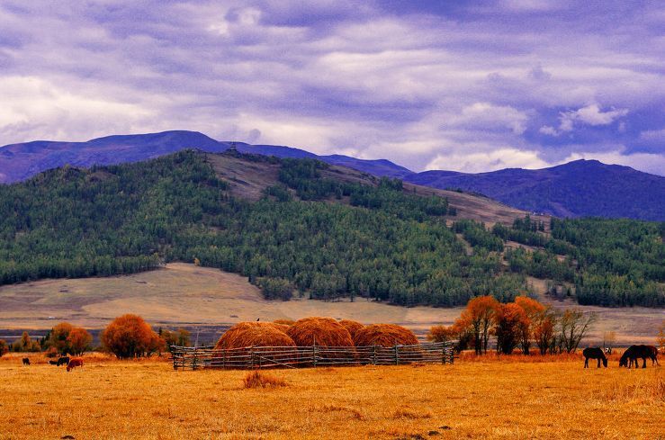 中国最惊艳的公路，绝色的风景，去过都不枉此生