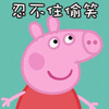 民进党的五大猪队友