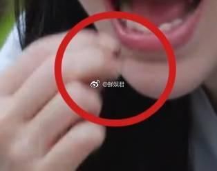 《向往的生活》官方回应杨颖假吃事件 却因态度问题遭网友怒怼