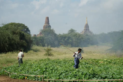 全世界消费最便宜国家,中国游客8天花了1000元玩,性价比超泰国