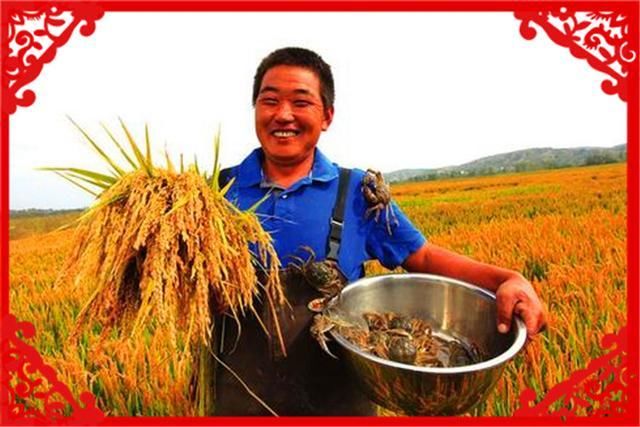  收益：农村养殖这几种畜禽收益高，而且销路不愁，值得推荐