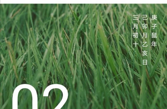  【Z先生】南乔成长日记：读书、写作、爱人皆不负