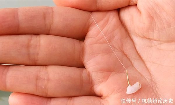  『不见』野塘水底淤泥厚，只见鱼星不见咬钩，可以试试这几招，立马见效！