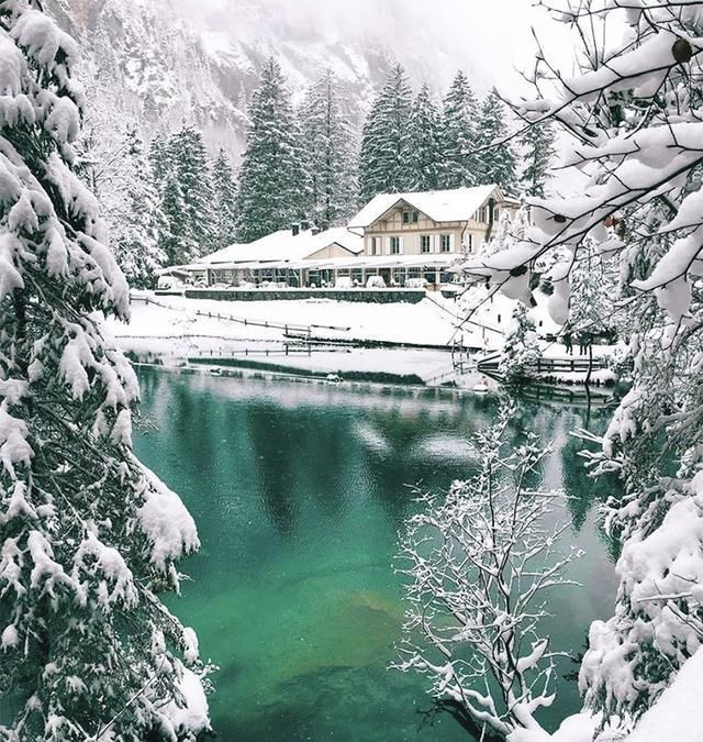 我想有个小院，欣赏四季美景