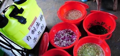 对着有虫害@怎么样制作杀虫剂省钱环保?3个小方法,将虫卵、细菌都灭掉