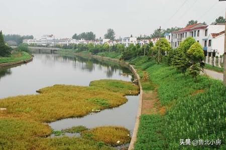 农民朋友注意了！再没钱也不要把这4样东西丢了，看看你有么