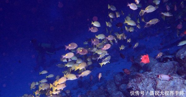 中国曾10亿美金买张“废纸”曾经嘲笑的日本，现在却急了