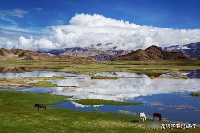  「变淡」青藏高原湖水变淡，受到世界各国科学家的广泛关注