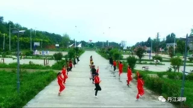 登录查看大图