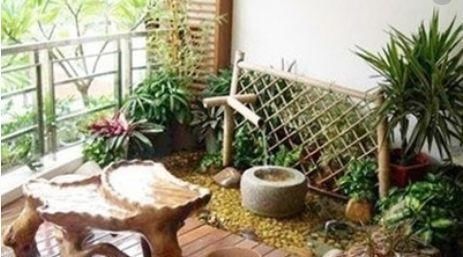  [虎皮兰]这“3种”花不管多贵也要养，不仅“吸甲醛”，养在客厅还旺运！