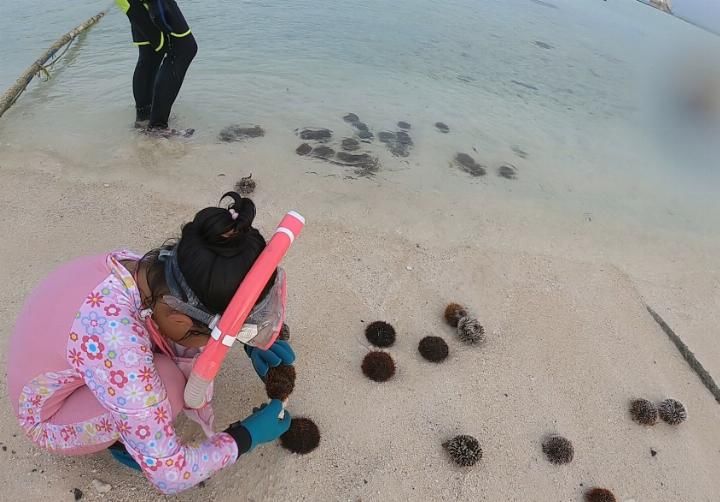 我心中向往的天堂，西沙群岛潜水、海钓、露营