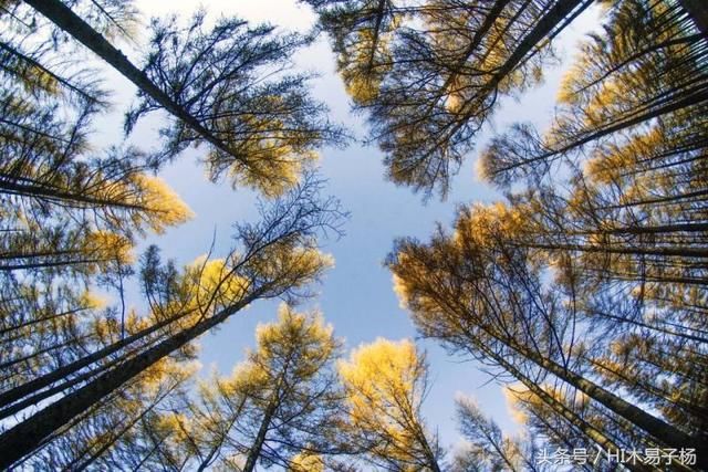 中华大地一片美丽秋景