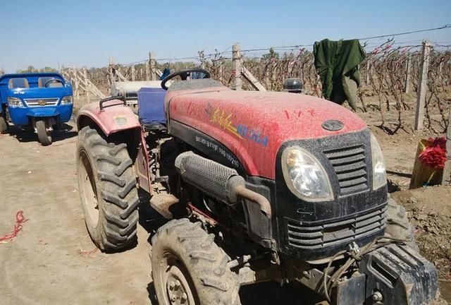  『热火朝天』四月，吐鲁番一片热火朝天