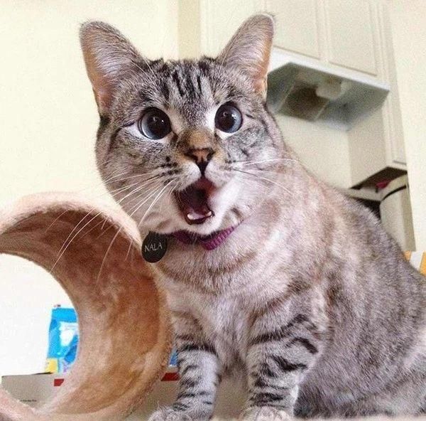 一条因好心而转发的谣言，可能会让无数农民躺枪