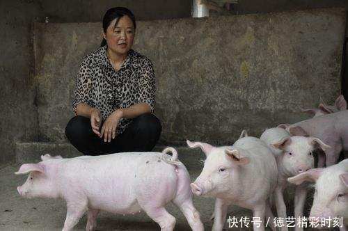 2018年养殖业又出新政策，这三点农村养殖户要注意了，小心被查