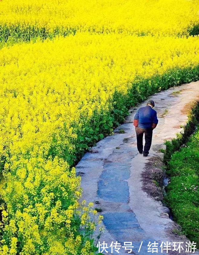 去了珠峰才知道, 这里的路标是“尸体”;去了泸沽湖才知道, 女儿