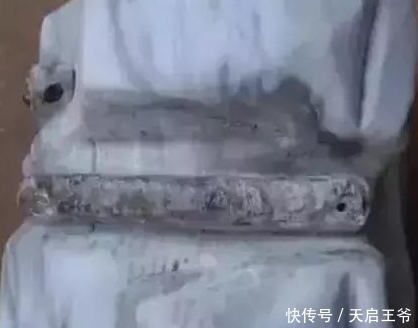  【巨树】2亿年前的五条虫子 与大树一起变成了玉石！