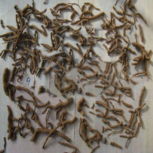  『荫蔽』扁竹根，别名蝴蝶花，生于较荫蔽而湿润的草地，花淡紫色或蓝紫色