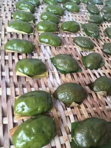  『野草』此草，名叫做“清明草”，只在清明前后出现，价值高，看到别错过