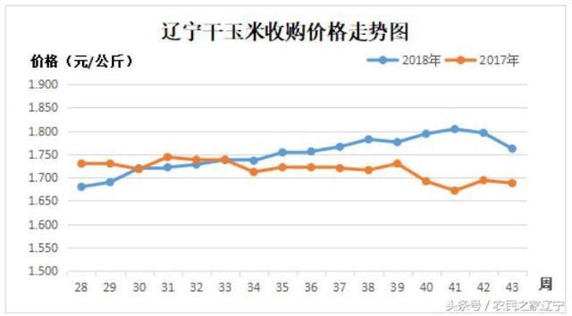 新玉米又涨了！各地区玉米价格表及短期行情预测