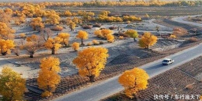 中国在塔克拉玛干沙漠，砸“重金”种大量植物，如今有回报了吗？