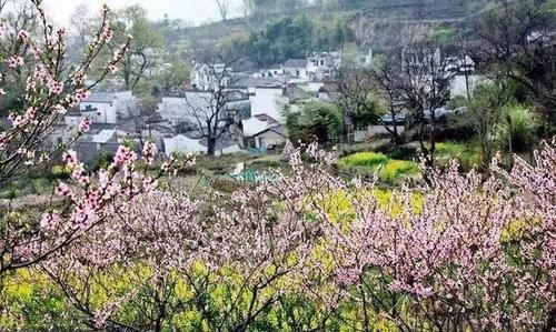 『踏青』踏青赏花照这样拍,还愁刷不爆你的朋友圈?