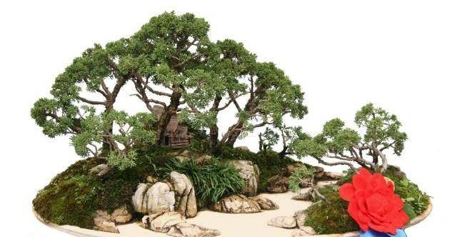 「山水盆景」世界上最美的34个盆景,第1个就美的受不了!