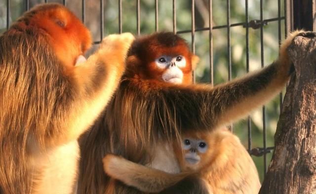 都说贵州是中国第一穷乡僻壤，可事实真相绝对叫你大跌眼镜！