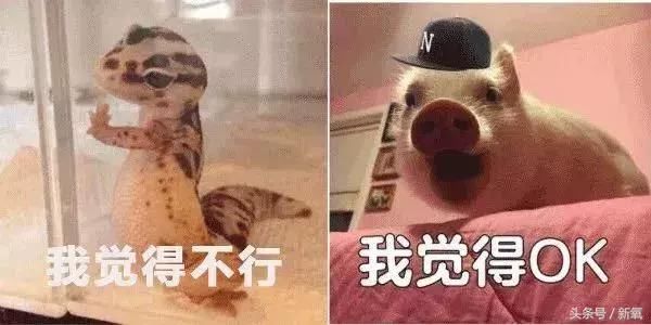 毛晓彤难得性感一回,却暴露了她身材的最大bug!