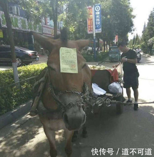 妹子，咱穿高跟鞋不是比高的，如此高的高跟鞋，走路都是个问题呀