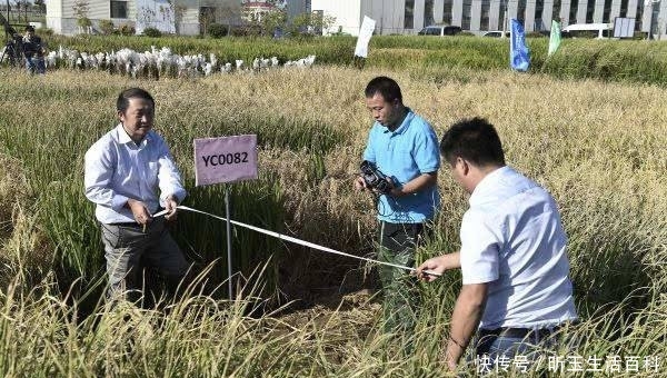  董事长|出任董事长、还有两个目标！袁隆平：我没有想过退休！