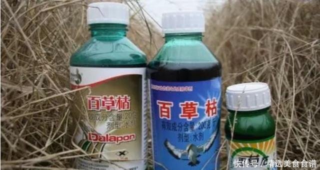 农村环保又出新规，5类东西将被禁用，快看你家有没有