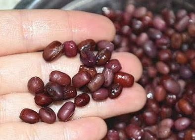  铜钱■铜钱草越养越“瘦小”？吃点“增肥水”，半月不到，蹭蹭胖2圈