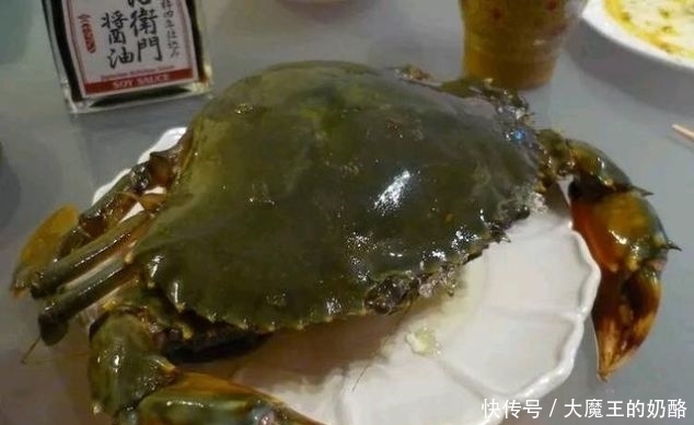 『帝王』世界上“最贵”螃蟹,就连帝王蟹都自愧不如,只有土豪吃得起