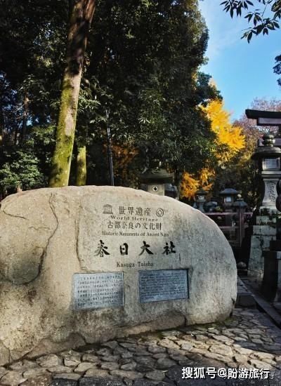  「祈福的灯笼」DAY2日本深度自由行之大阪都门奈良城崎旅行日记